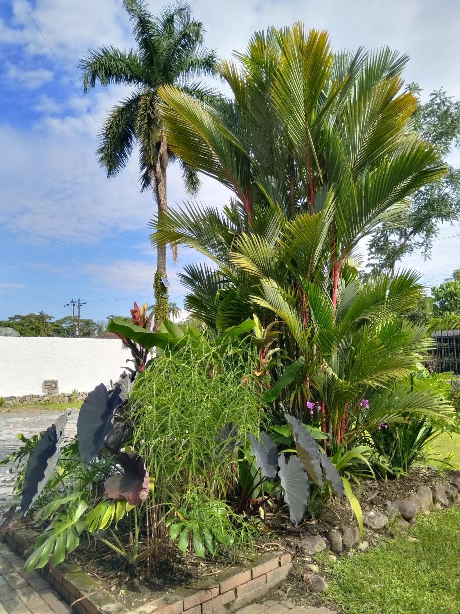 Doral House Villavicencio Bavaria Exterior foto